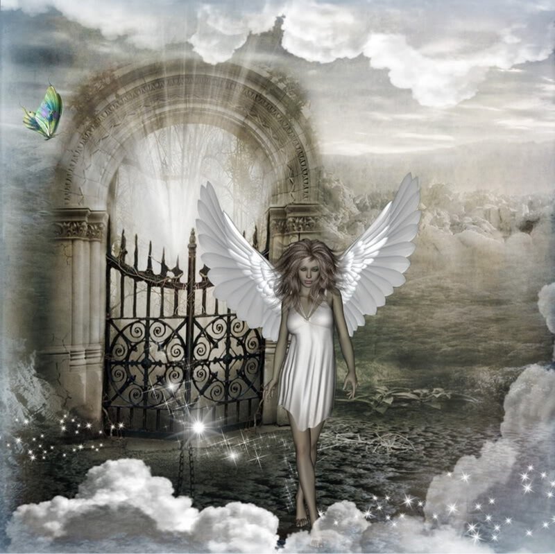 Angel with White Wings — Serene, Digital Art, Butterfly