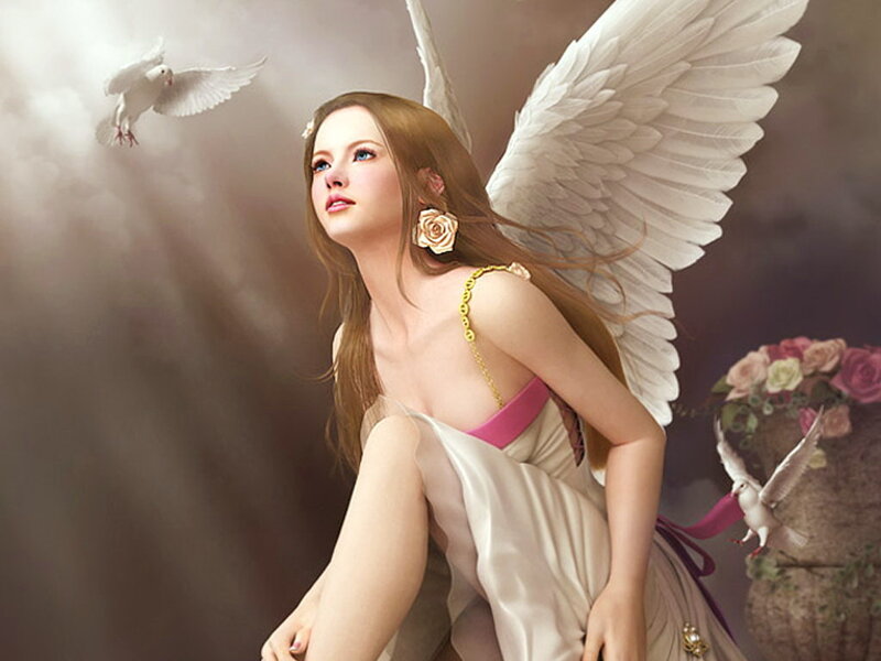 Angel with White Wings — Serene, Digital Art, Dove