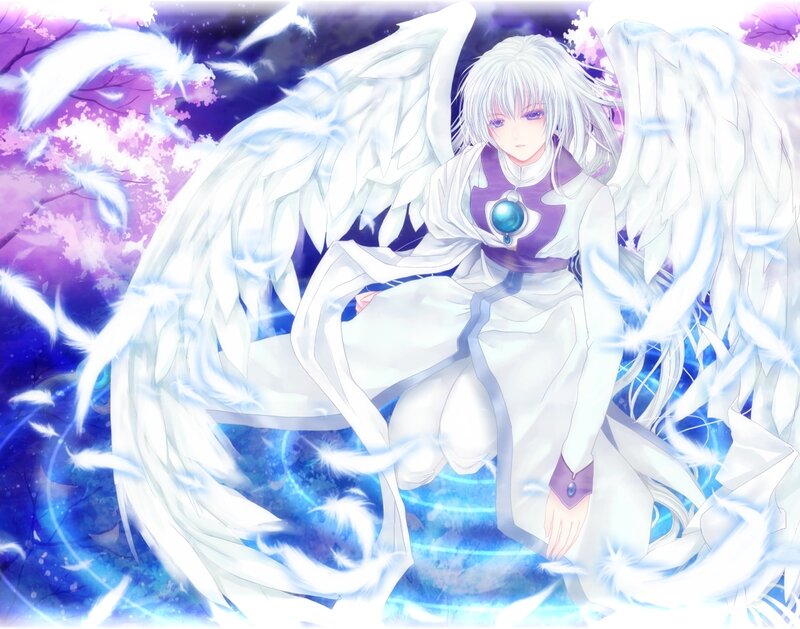 Angel with White Wings — Serene, Night, Anime