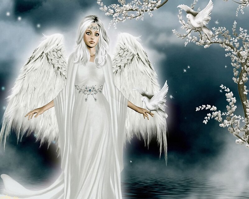 Angel with White Wings — Serene, Night, Digital Art, Doves, Flowering Branches