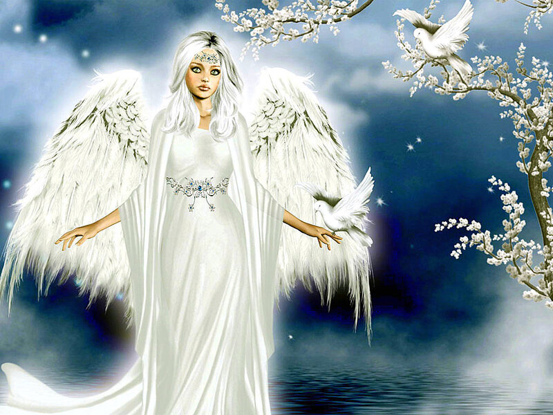 Angel with White Wings — Serene, Night