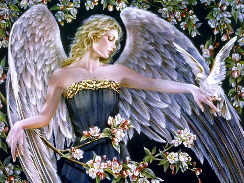 Angel with White Wings — Serene, Spring