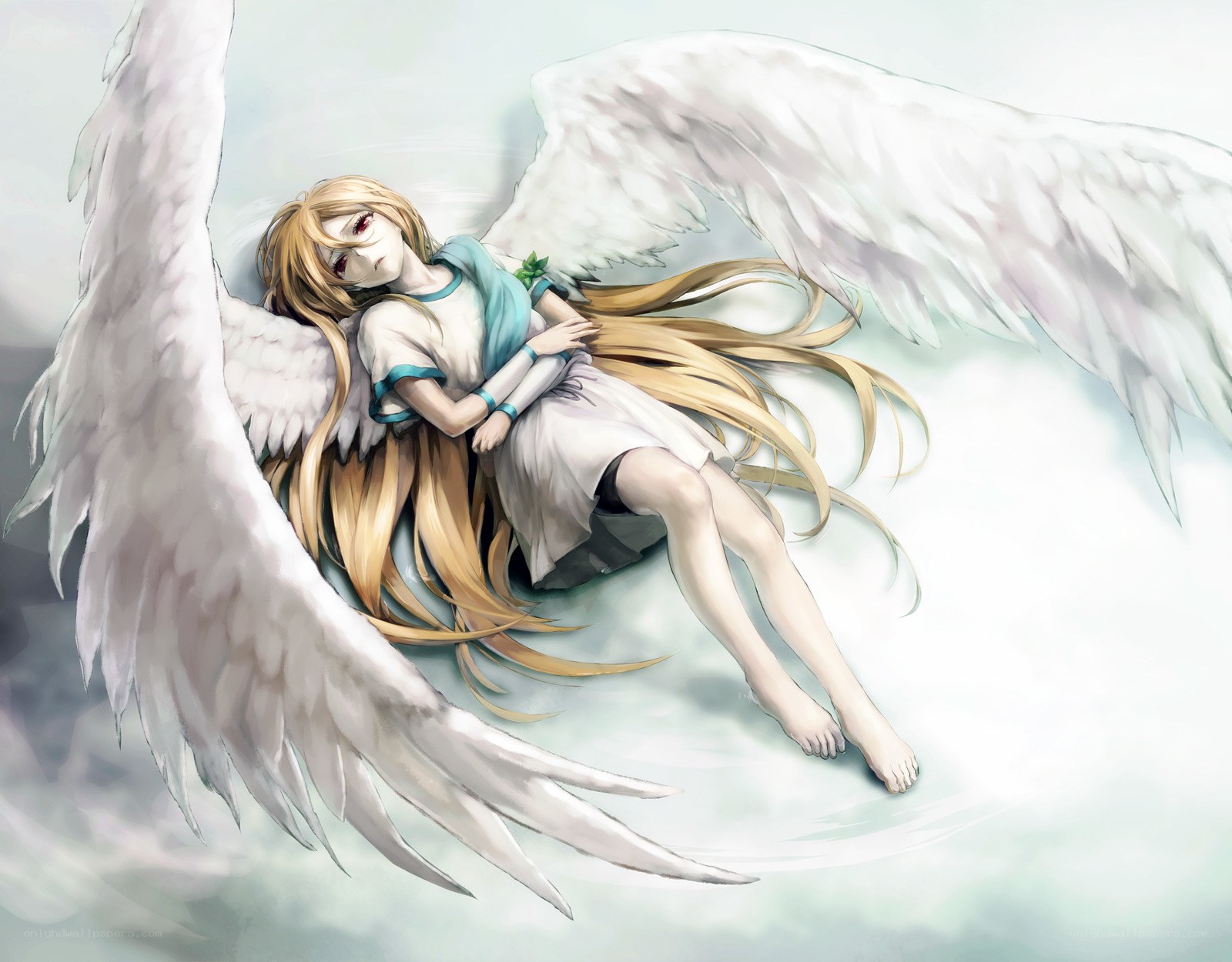 angel with white wings sleeping