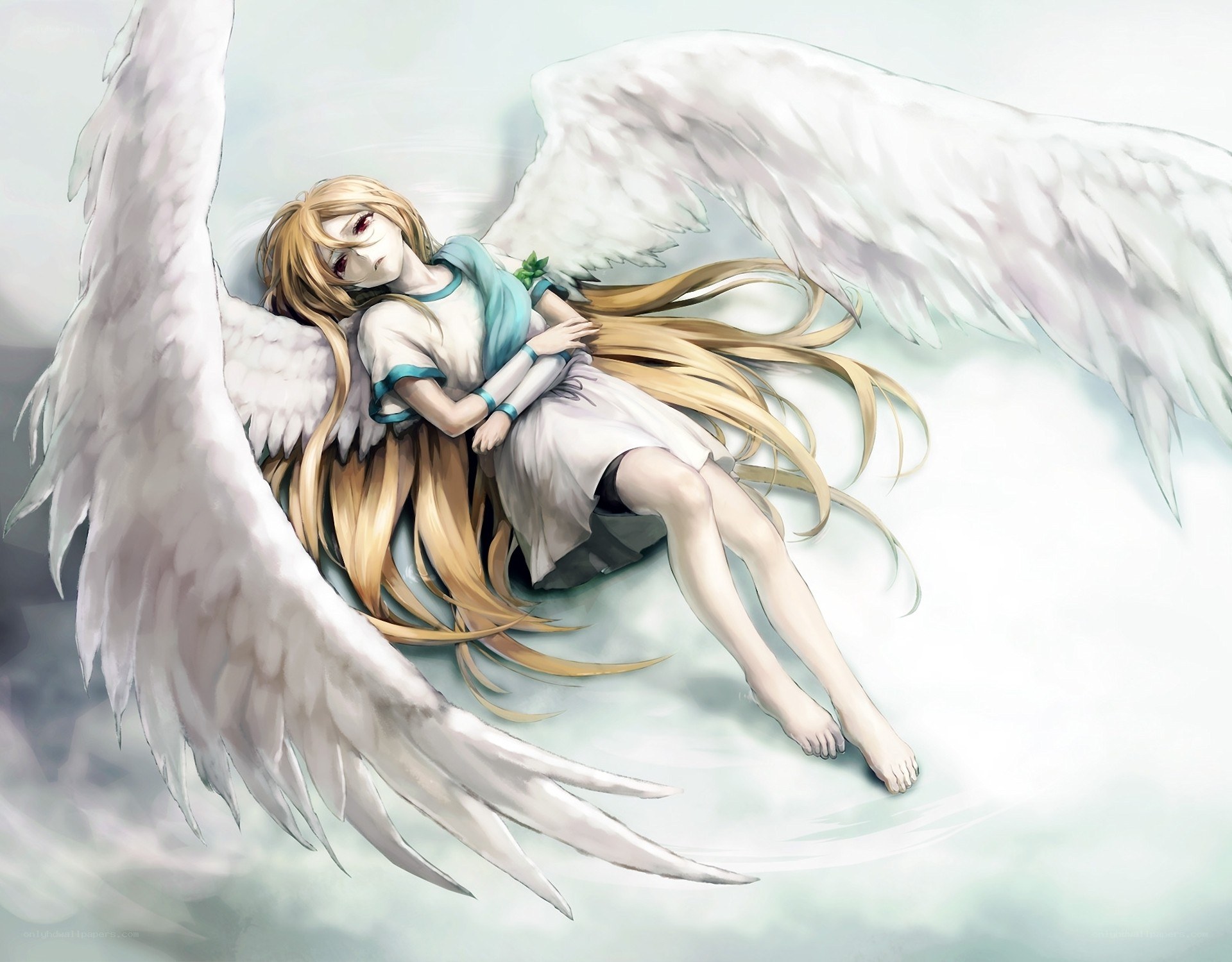 angel with white wings sleeping