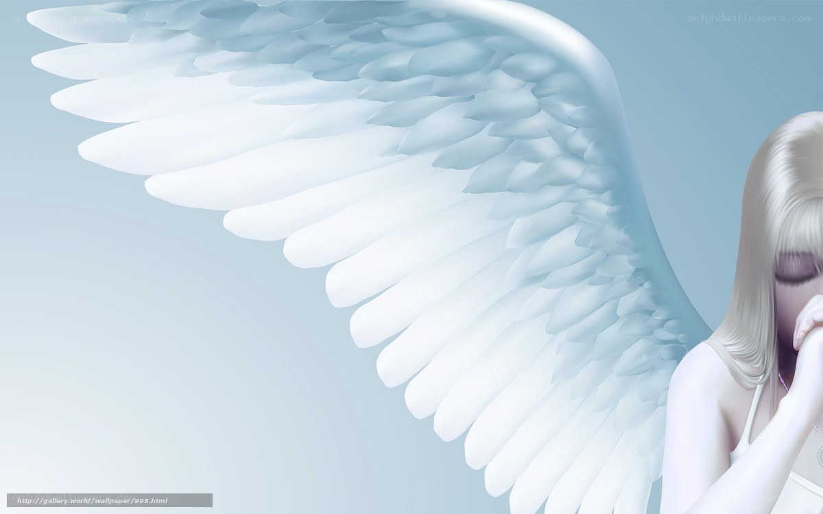 angel with white wings