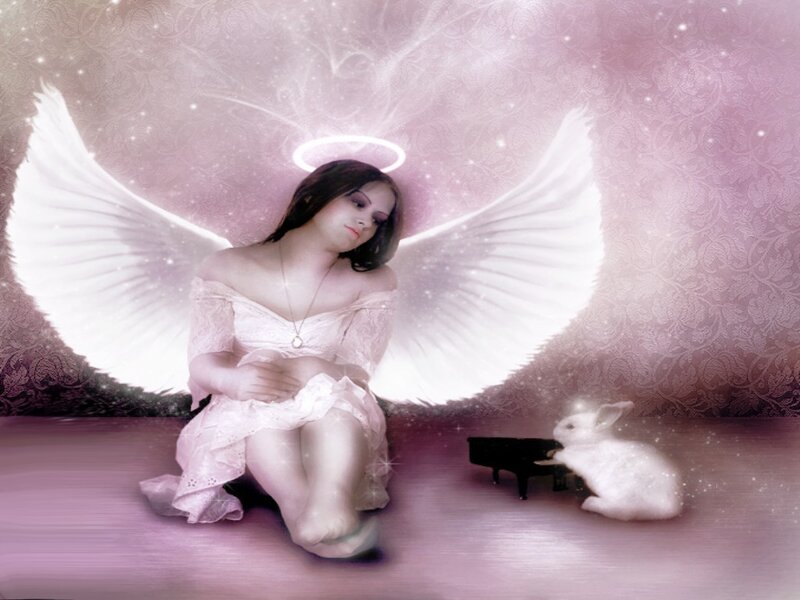 Angel with wings and rabbit
