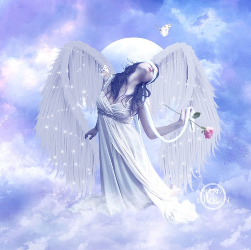 Angel with Wings and Rose