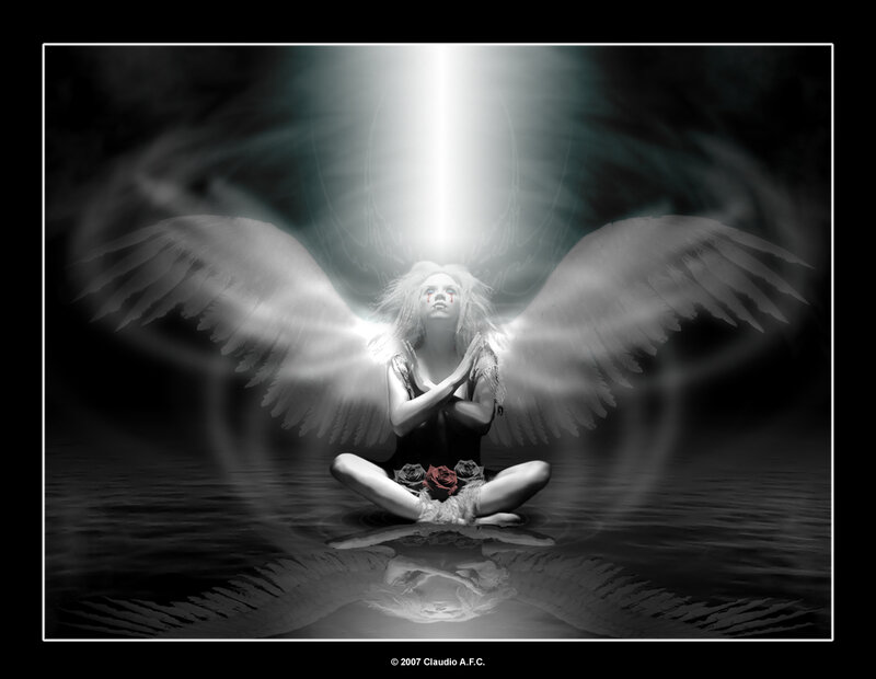 Angel with Wings — Black, Dramatic, Digital Art, Rose