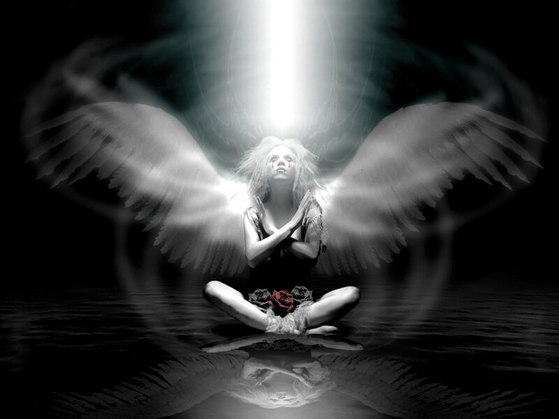 Angel with Wings — Black, Dramatic, Night, Digital Art, Rose