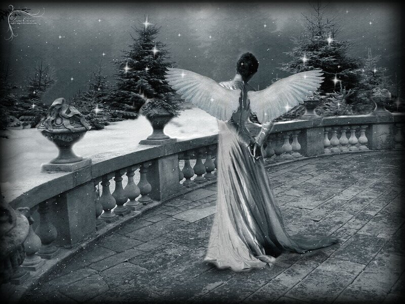 Angel with Wings — Black, Serene