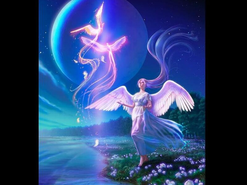 Angel with Wings — Blue, Serene, Night, Digital Art, Moon, Flowers