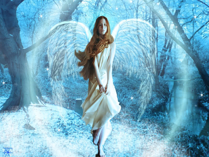 Angel with Wings — Blue, Serene, Winter
