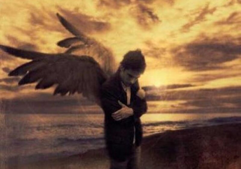 Angel with Wings — Brown, Dramatic, Sunset