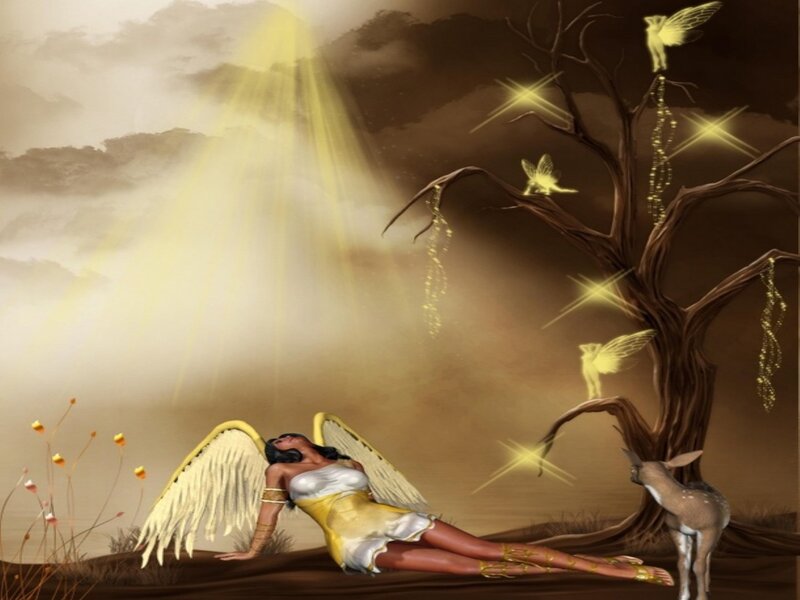 Angel with Wings — Brown, Serene, Sunset