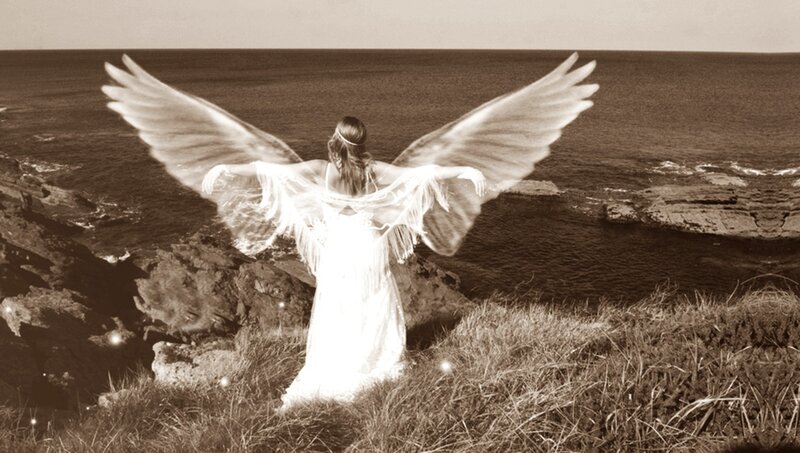 Angel with Wings — Brown, Serene