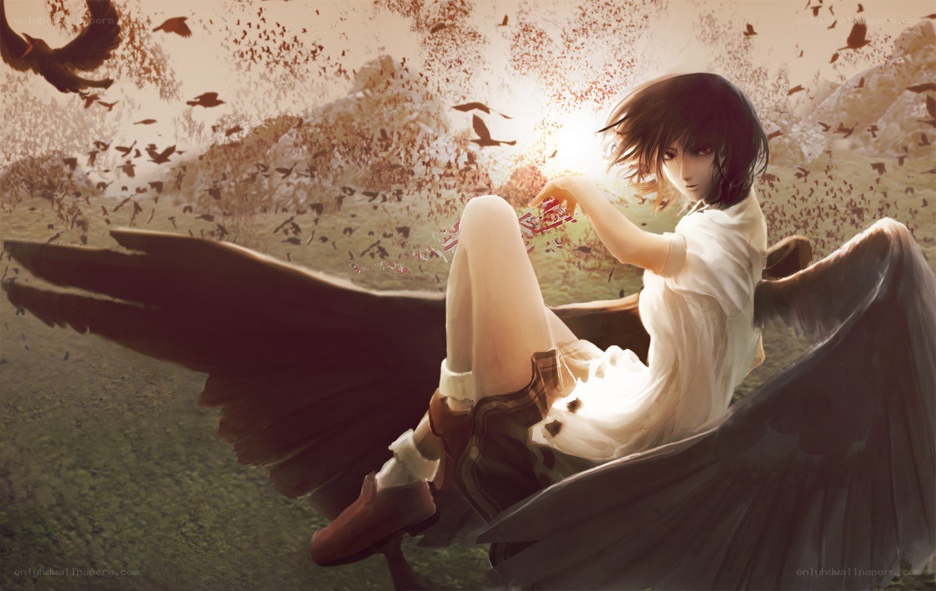 Angel with wings in a flock