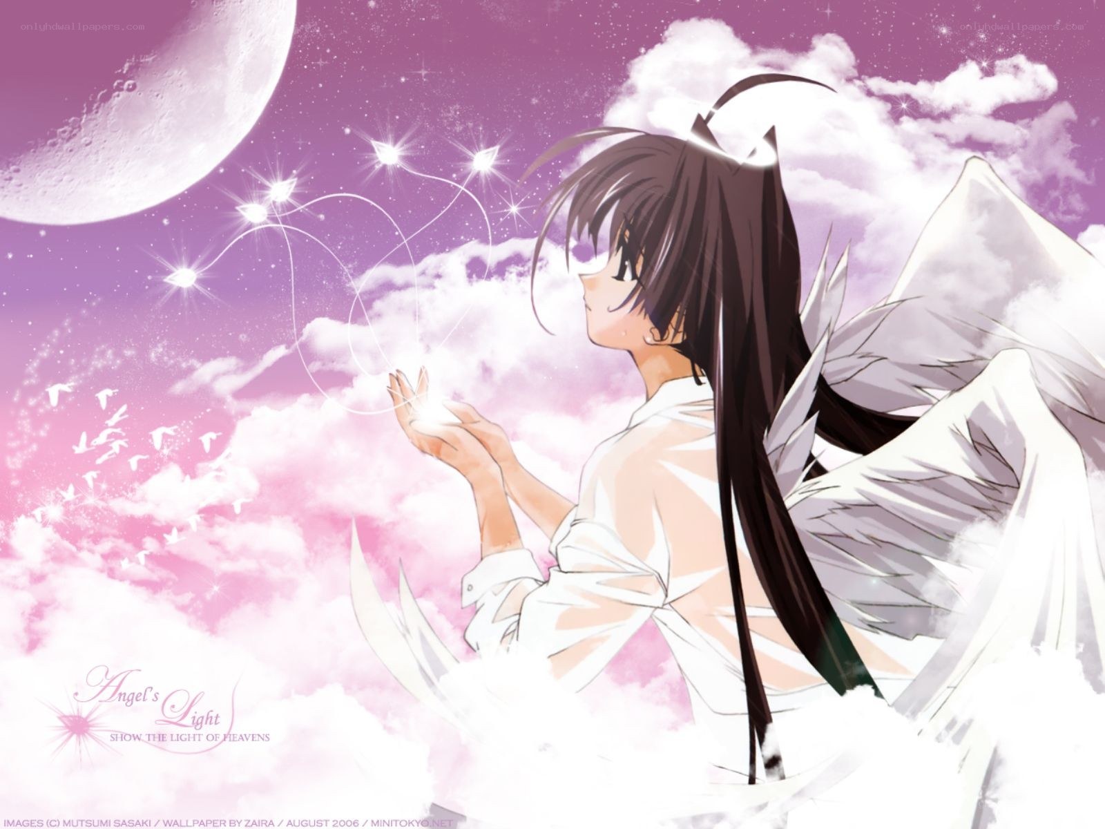 Angel with wings in sky