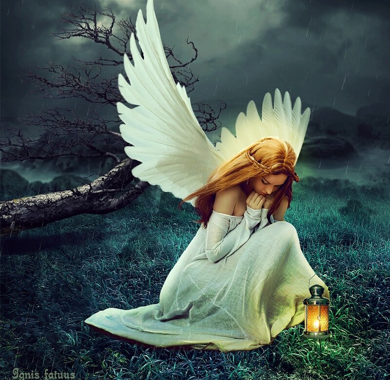 Angel with Wings Kneeling — White, Dramatic