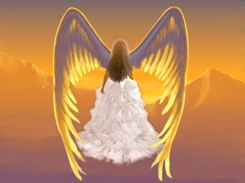 Angel with Wings — Orange, Serene