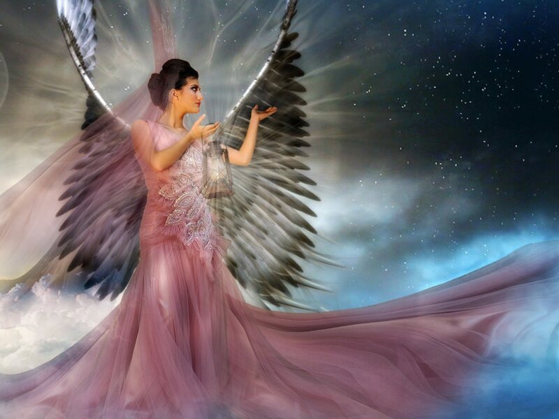 Angel with Wings — Pink, Dramatic, Night