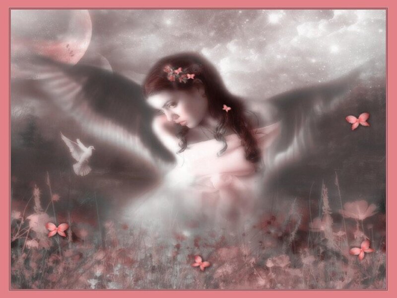 Angel with Wings — Pink, Dreamy
