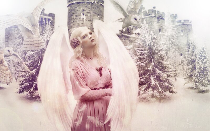Angel with Wings — Pink, Serene, Winter