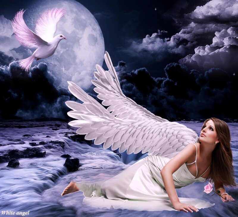 Angel with Wings — White, Dreamy