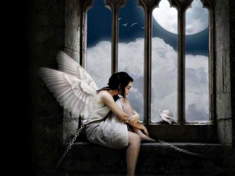 Angel with Wings — White, Melancholic
