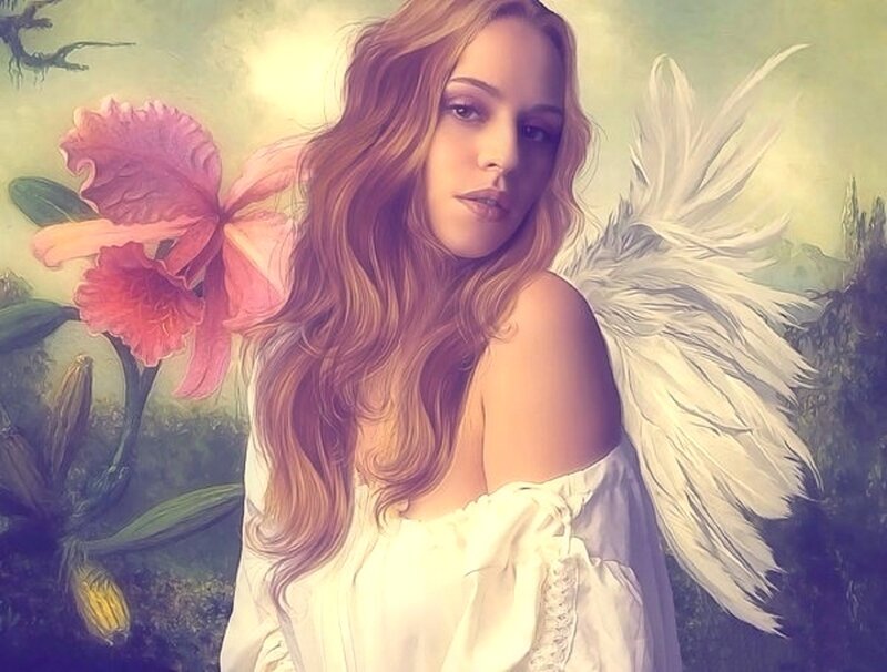 Angel with Wings — White, Serene, Afternoon, Digital Art, Flower