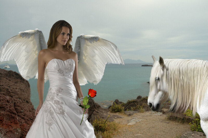 Angel with Wings — White, Serene, Afternoon