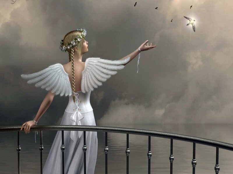 Angel with Wings — White, Serene, Digital Art, Bird