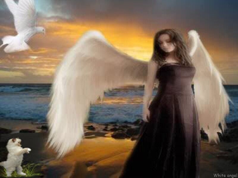 Angel with Wings — White, Serene, Sunset