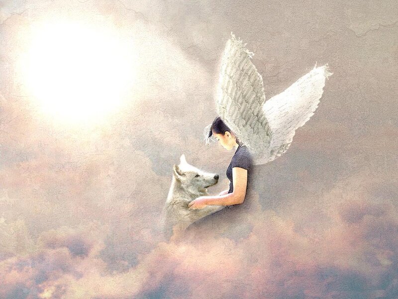 Angel with Wolf — White