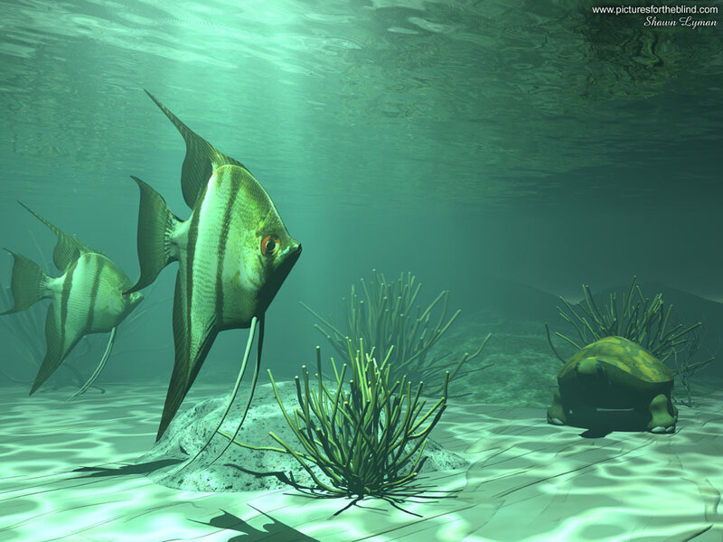 Angelfish in Aquarium — Green