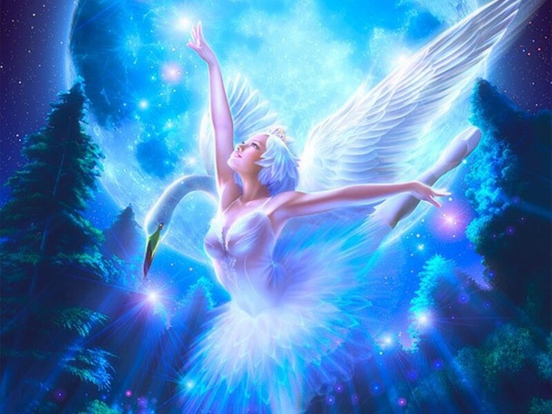 Angelic Ballerina with Swan