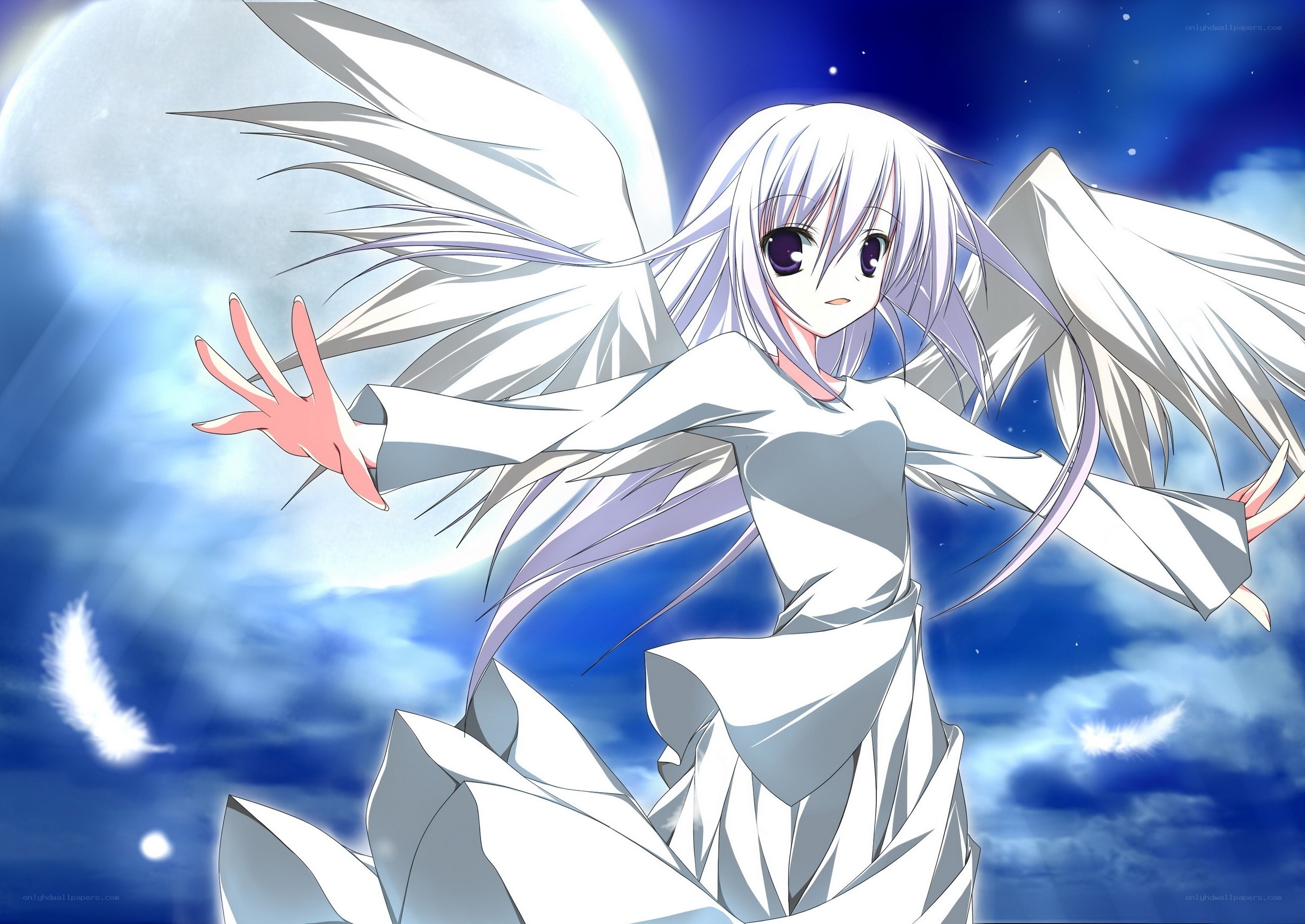 angelic figure with white wings