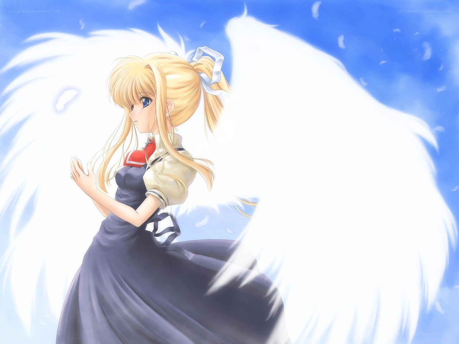 angelic girl with white wings
