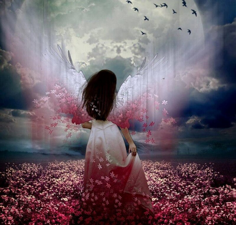 Angelic Girl with Wings — Pink, Dramatic, Night
