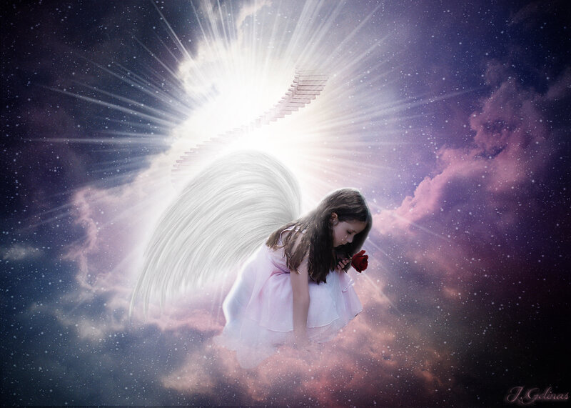 Angelic Girl with Wings — White, Serene, Night, Digital Art, Rose