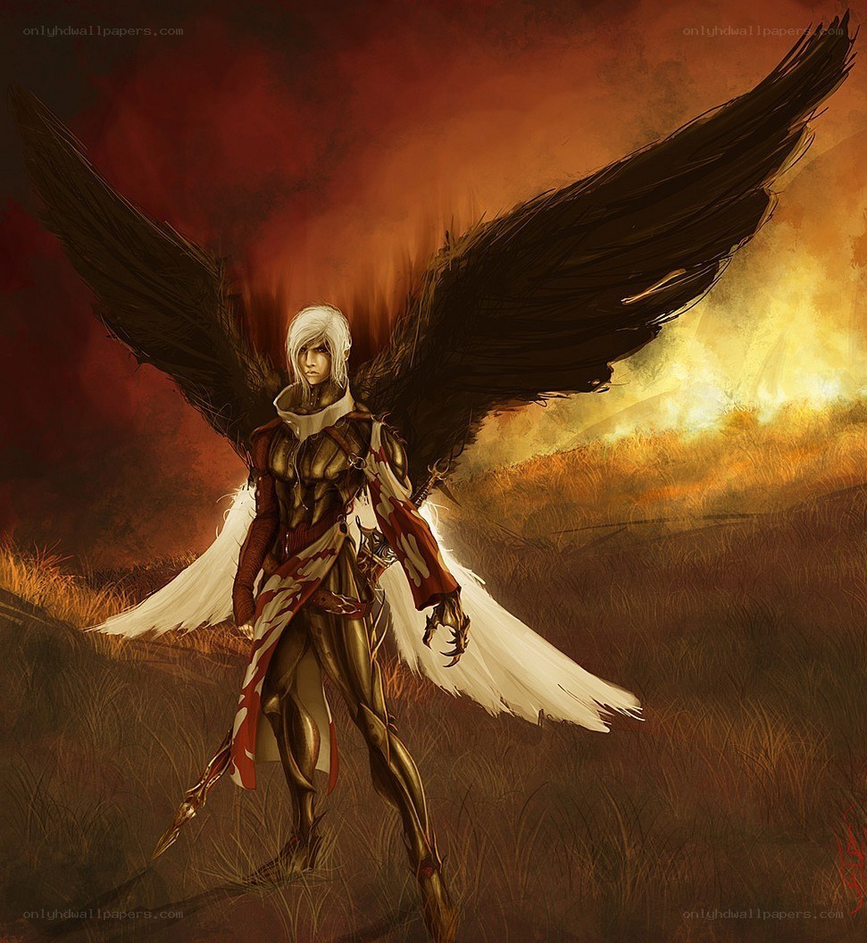 angelic warrior with black wings