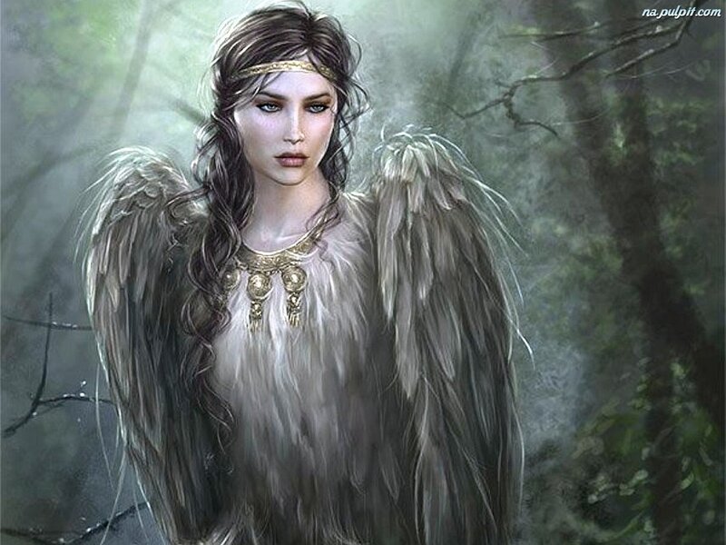 Angelic Woman with Wings — Gray, Mysterious