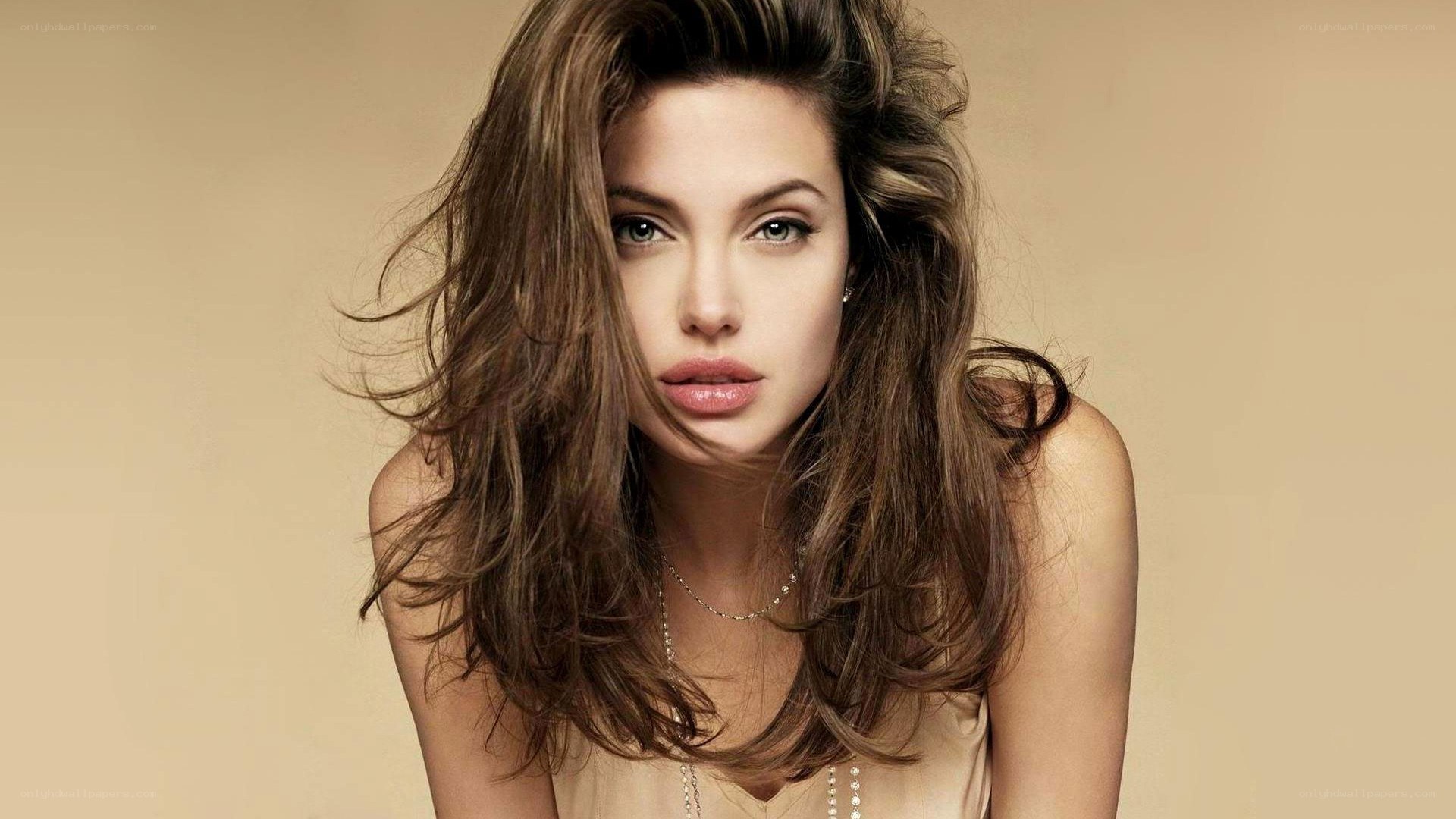 Angelina Jolie portrait