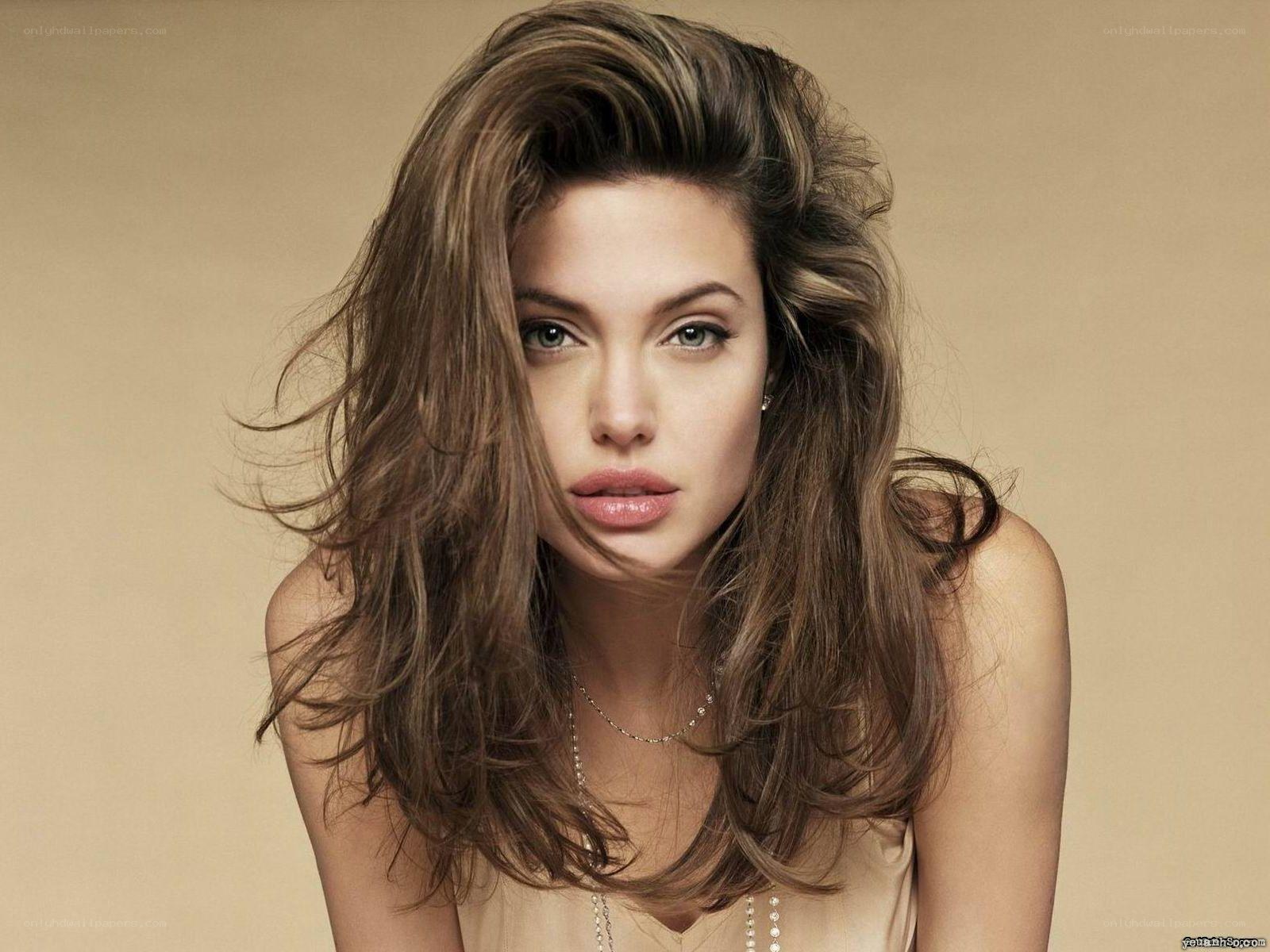 Angelina Jolie portrait