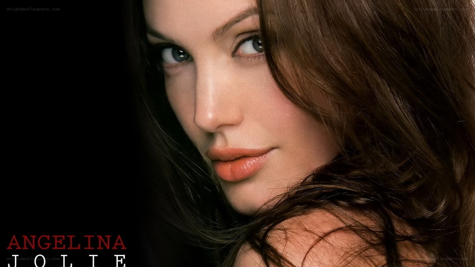 Angelina Jolie portrait