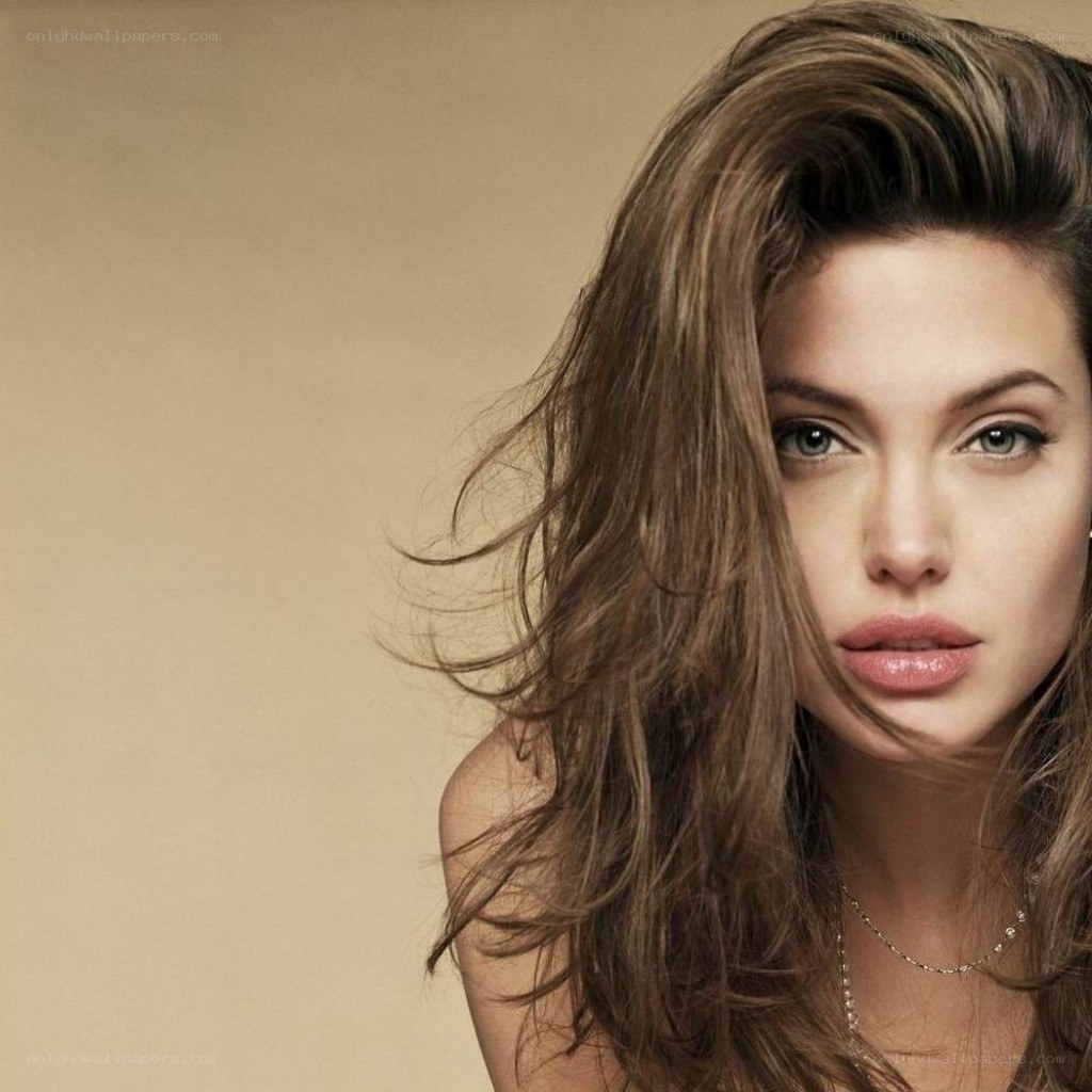 Angelina Jolie portrait
