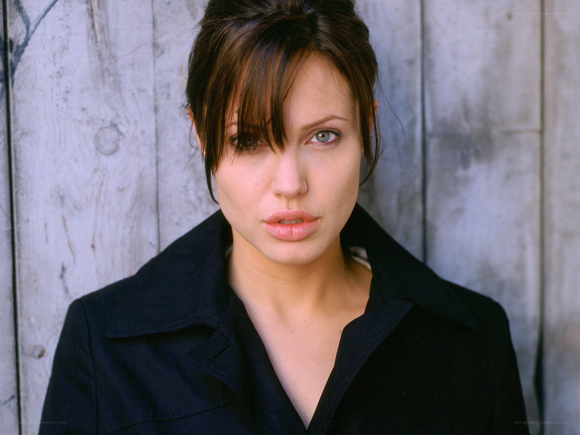 Angelina Jolie portrait