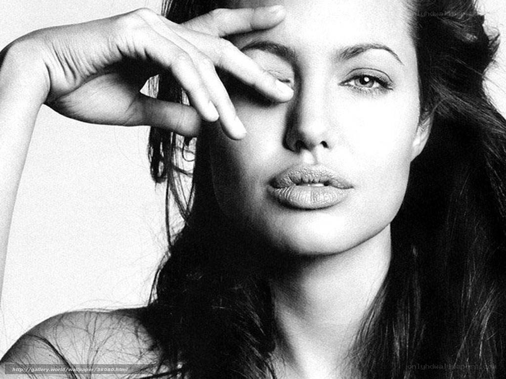 Angelina Jolie portrait