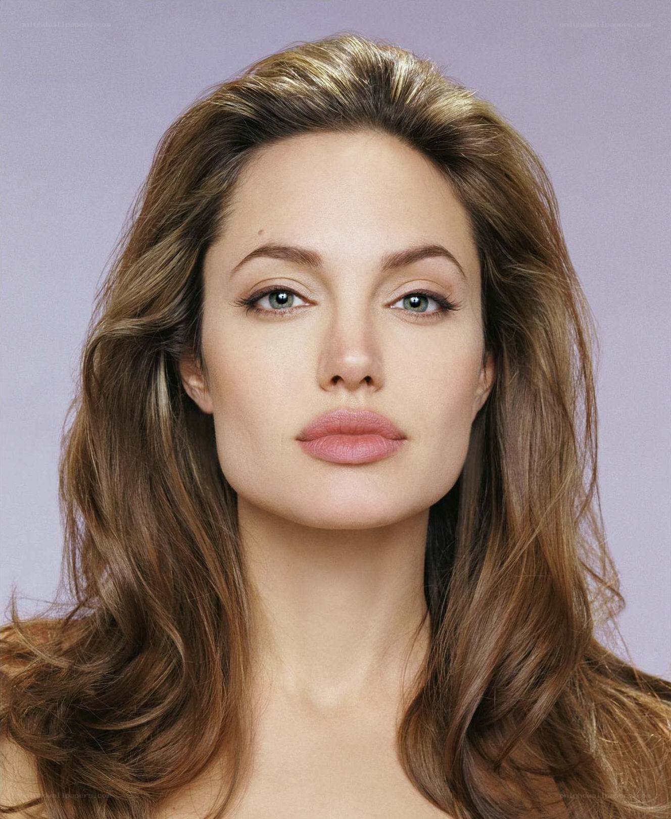 Angelina Jolie portrait