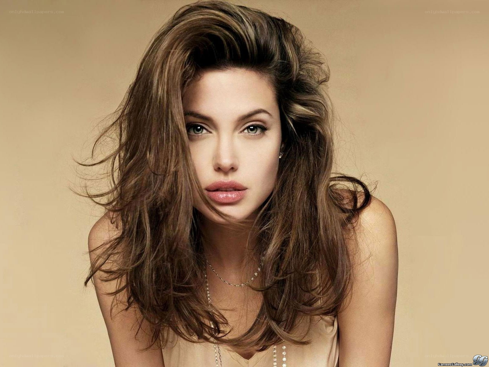 Angelina Jolie portrait