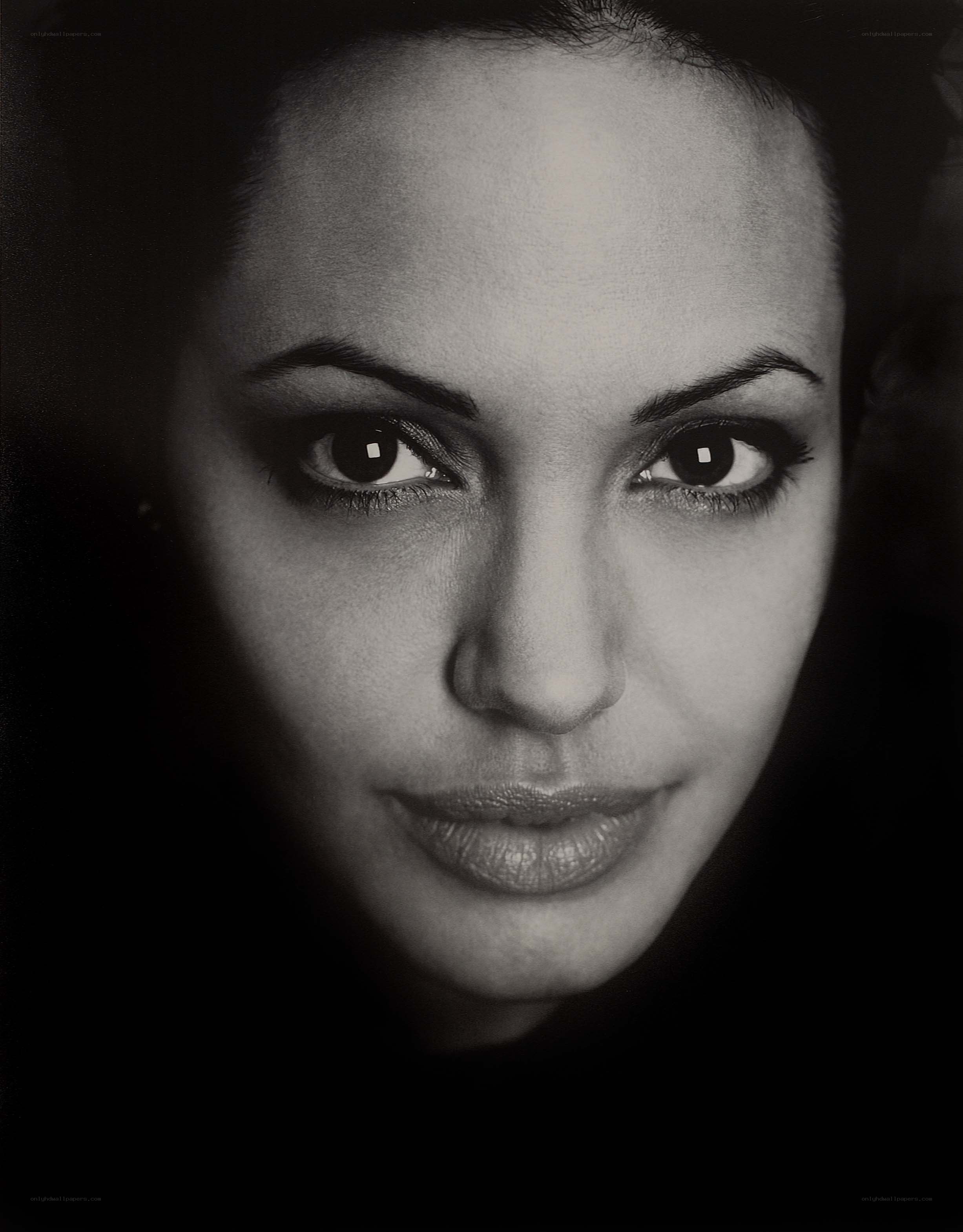 Angelina Jolie portrait